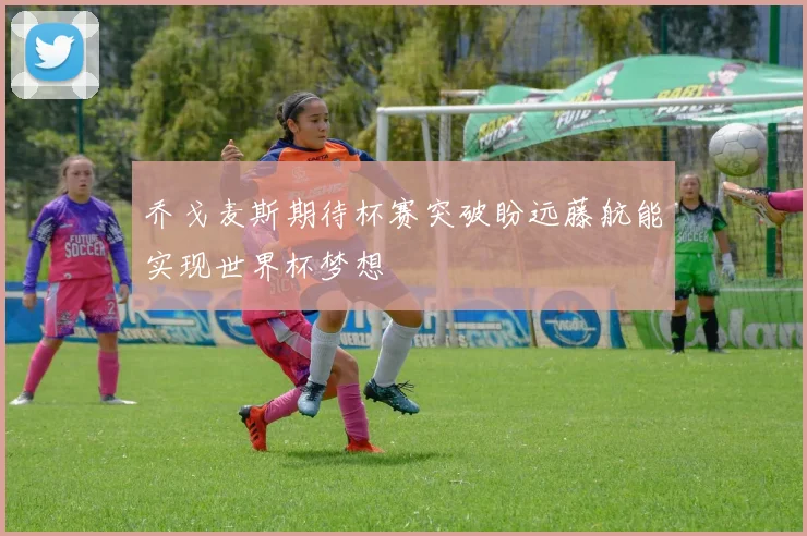乔戈麦斯期待杯赛突破盼远藤航能实现世界杯梦想