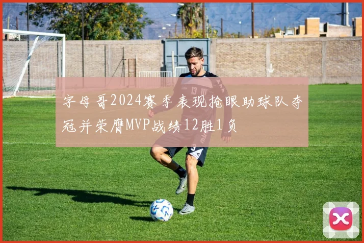 字母哥2024赛季表现抢眼助球队夺冠并荣膺MVP战绩12胜1负