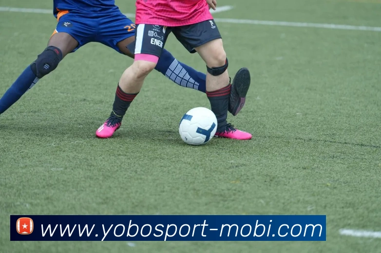 yobo体育发展历程